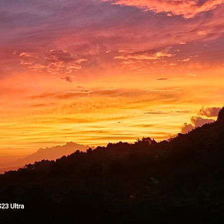 Finca Paraiso Mountain Retreat Near San Jose Airport Birrí 외부 사진