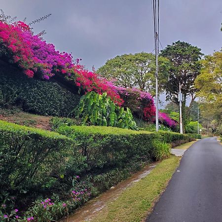 Finca Paraiso Mountain Retreat Near San Jose Airport Birrí 외부 사진