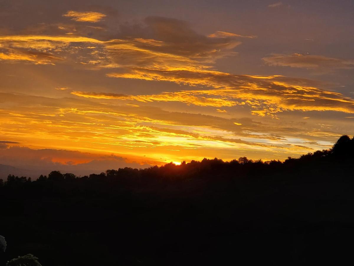 Finca Paraiso Mountain Retreat Near San Jose Airport Birrí 외부 사진