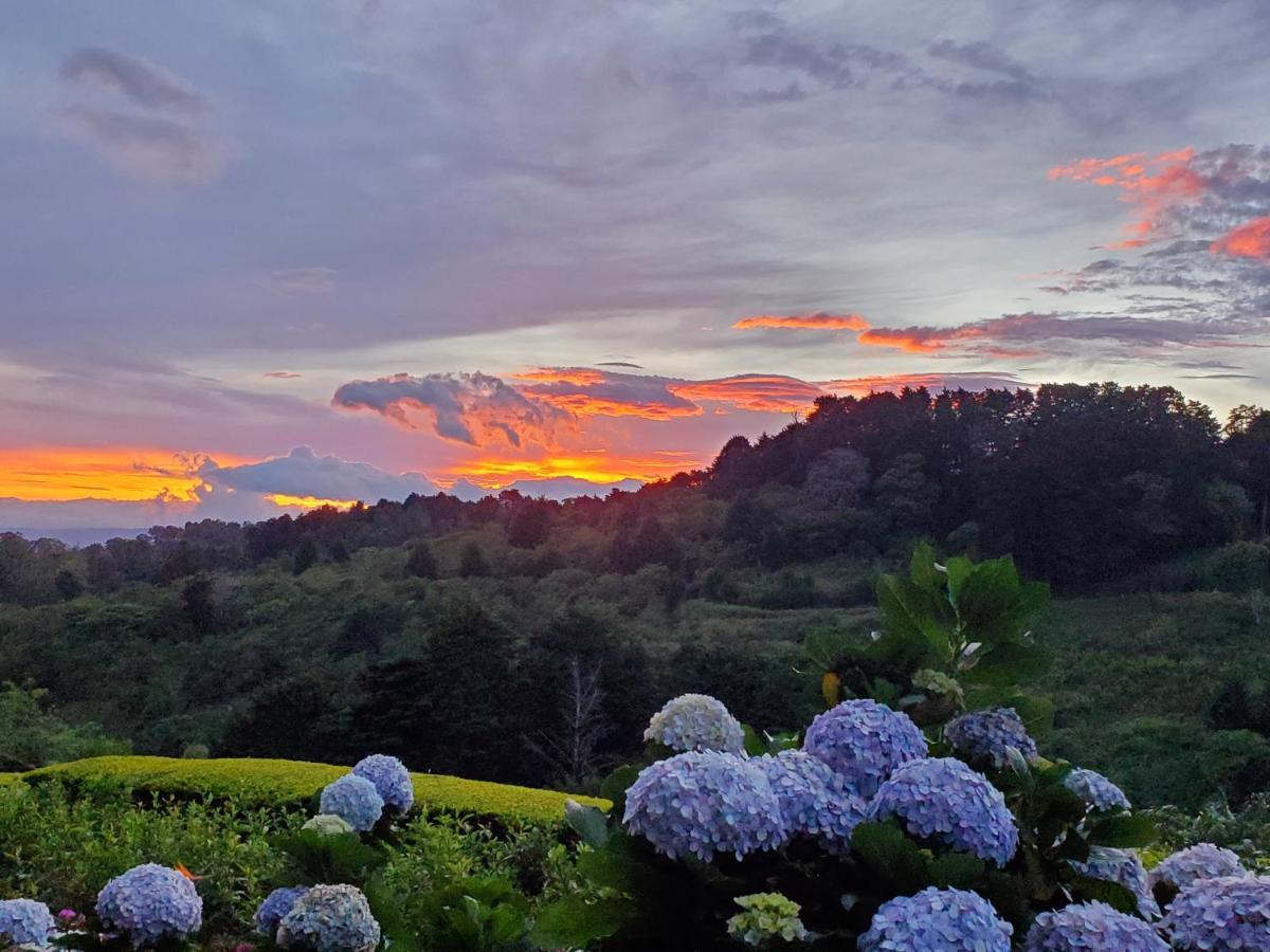 Finca Paraiso Mountain Retreat Near San Jose Airport Birrí 외부 사진
