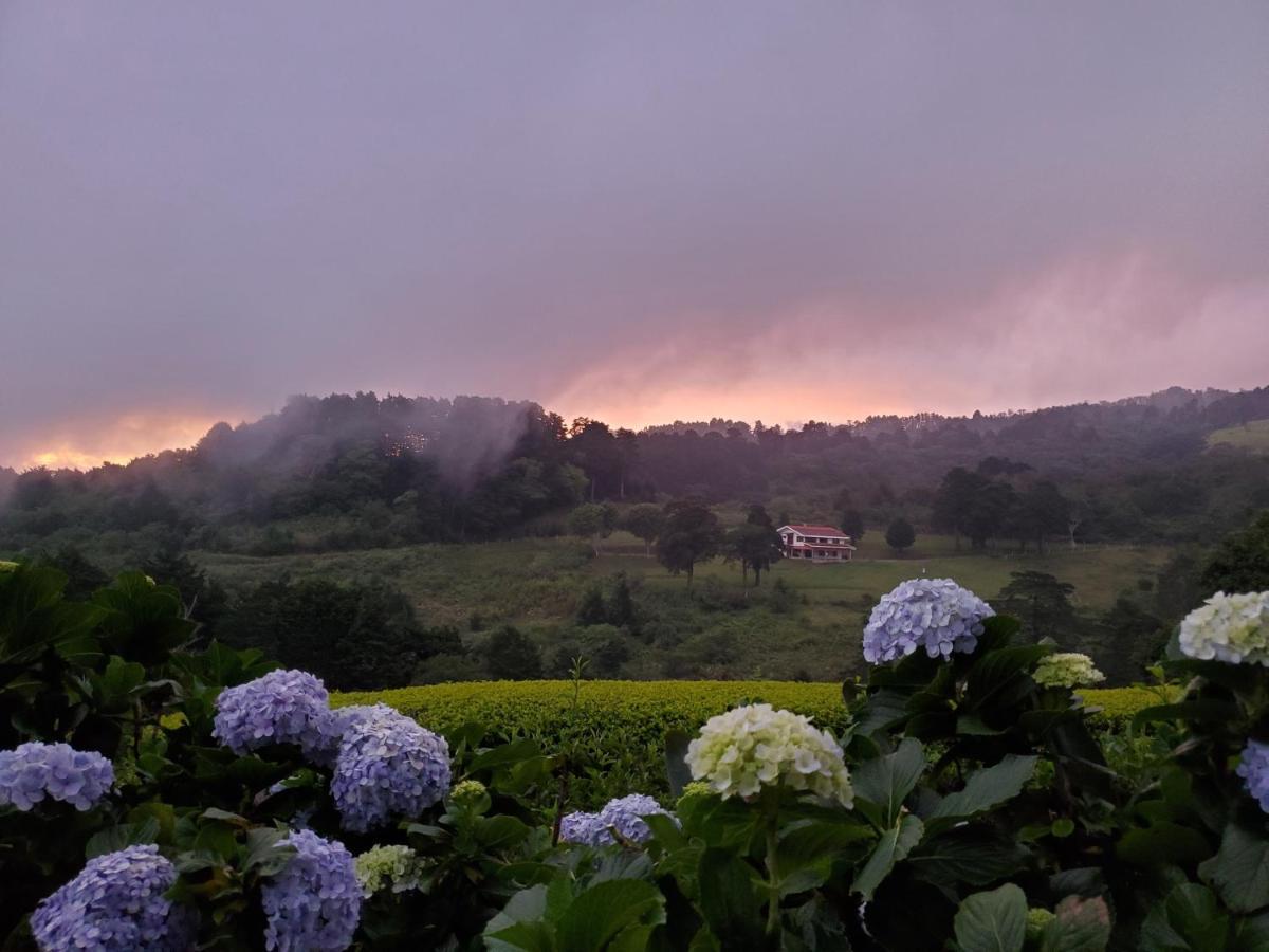Finca Paraiso Mountain Retreat Near San Jose Airport Birrí 외부 사진