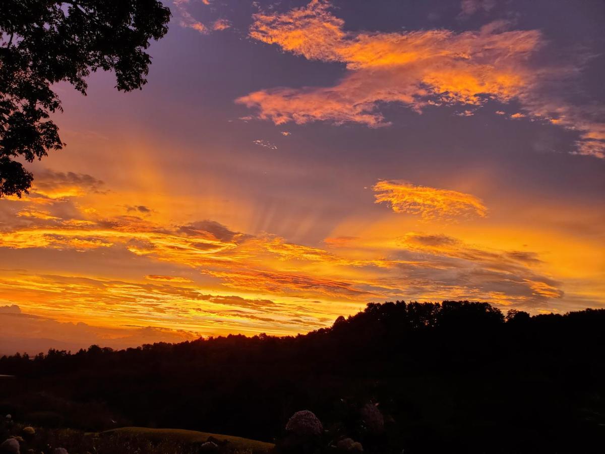 Finca Paraiso Mountain Retreat Near San Jose Airport Birrí 외부 사진