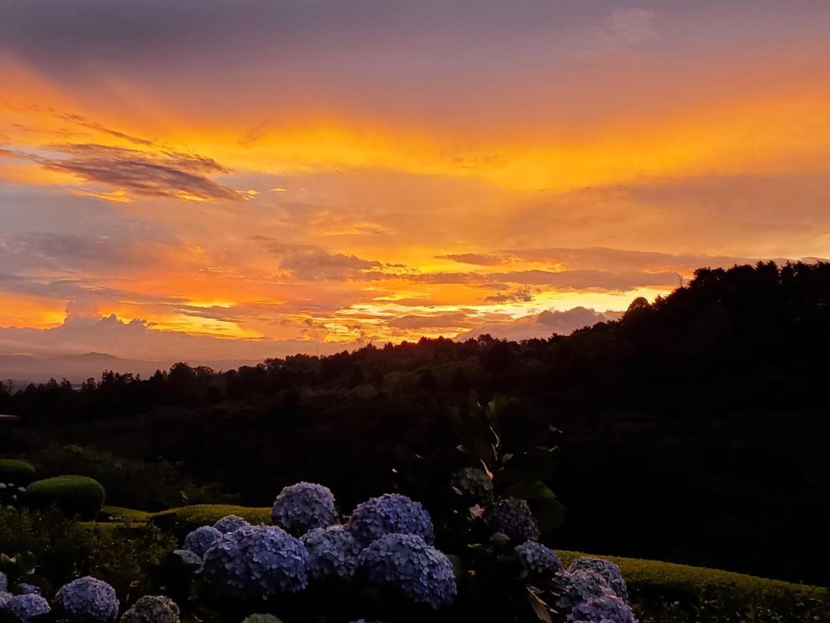 Finca Paraiso Mountain Retreat Near San Jose Airport Birrí 외부 사진