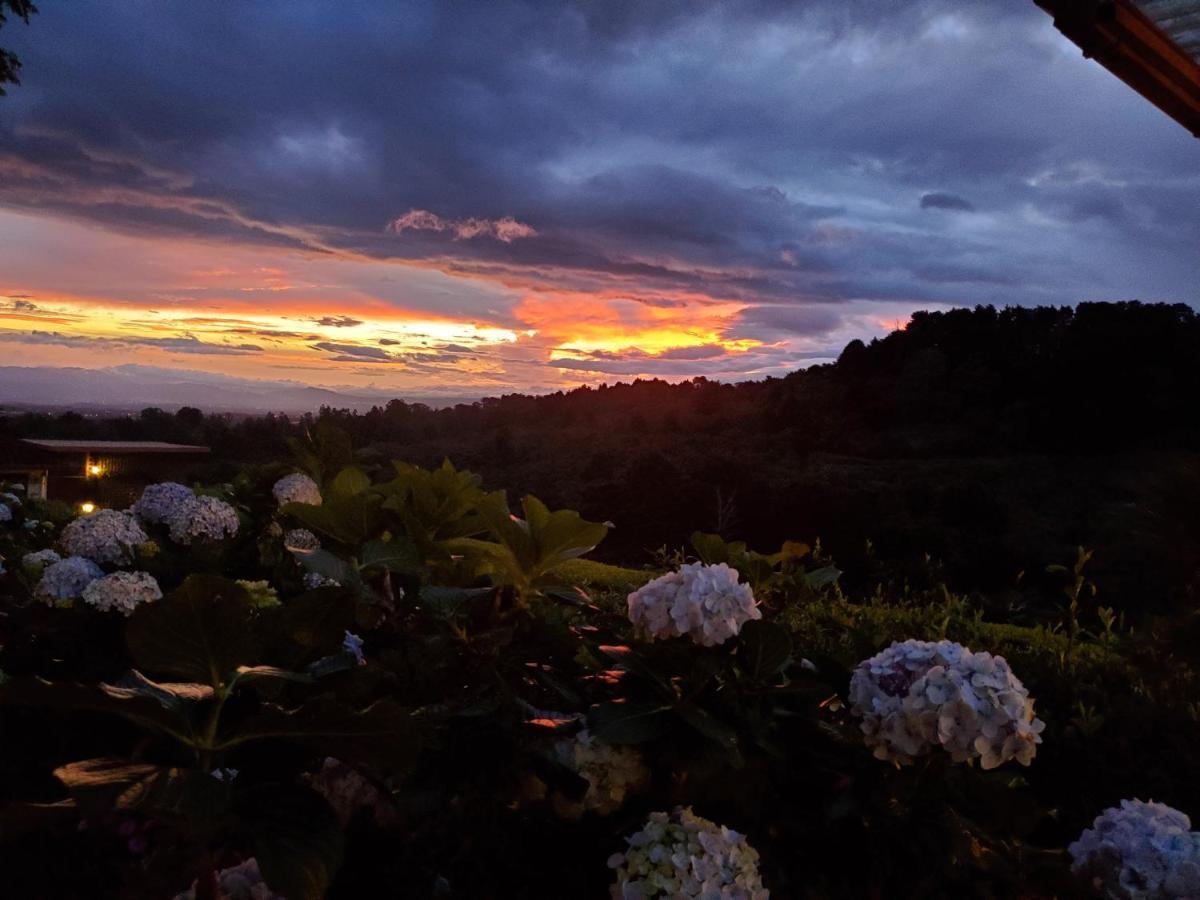 Finca Paraiso Mountain Retreat Near San Jose Airport Birrí 외부 사진
