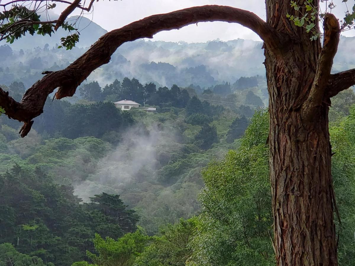 Finca Paraiso Mountain Retreat Near San Jose Airport Birrí 외부 사진