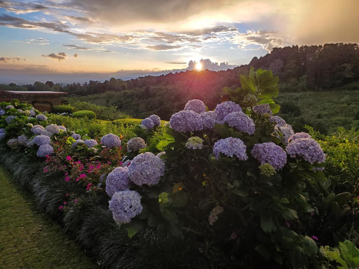 Finca Paraiso Mountain Retreat Near San Jose Airport Birrí 외부 사진