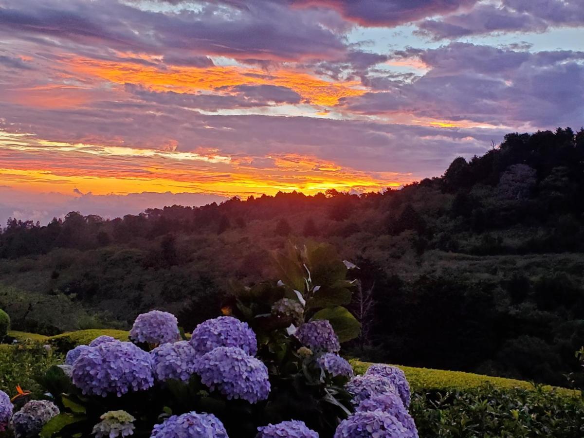 Finca Paraiso Mountain Retreat Near San Jose Airport Birrí 외부 사진