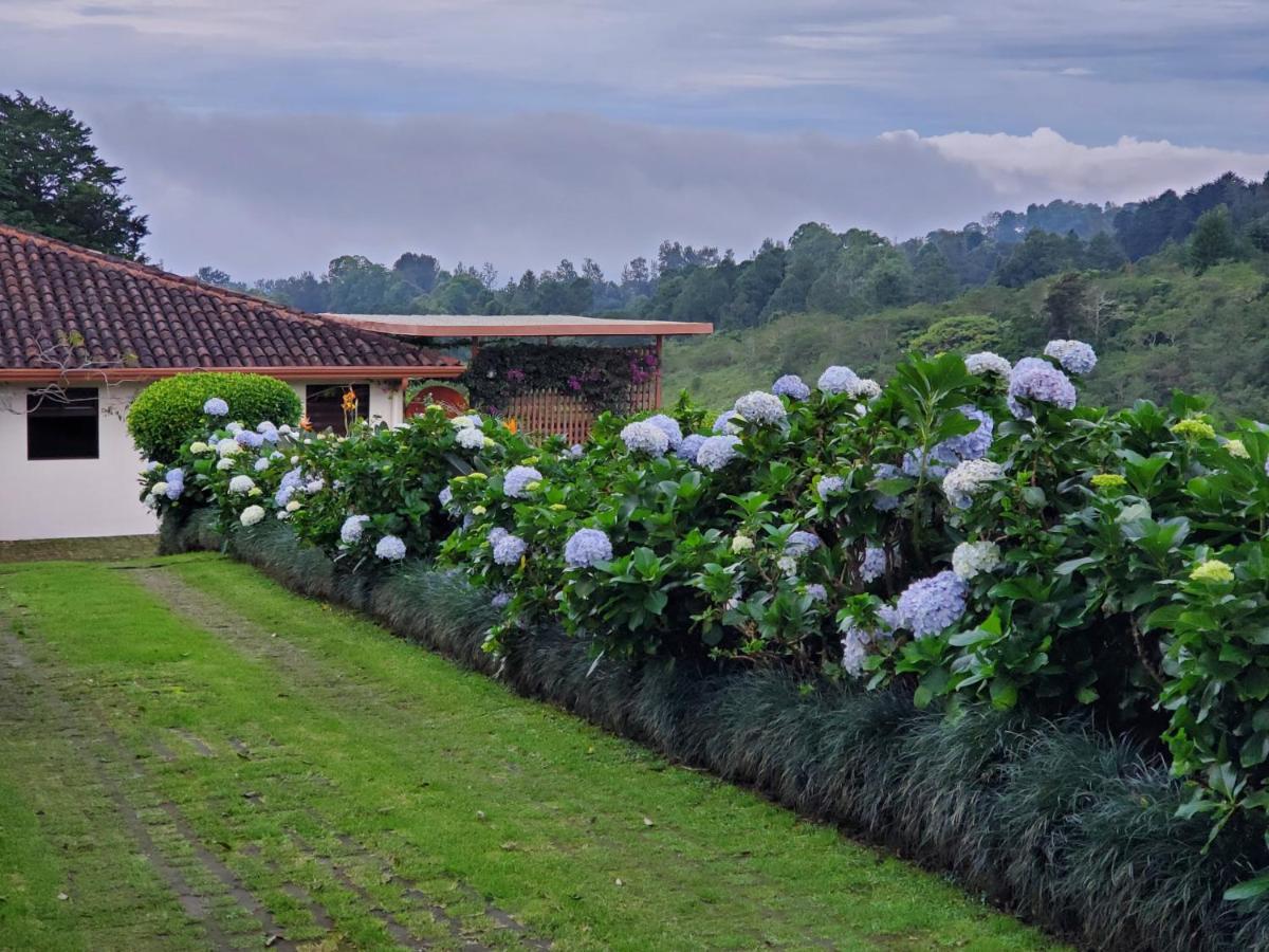 Finca Paraiso Mountain Retreat Near San Jose Airport Birrí 외부 사진