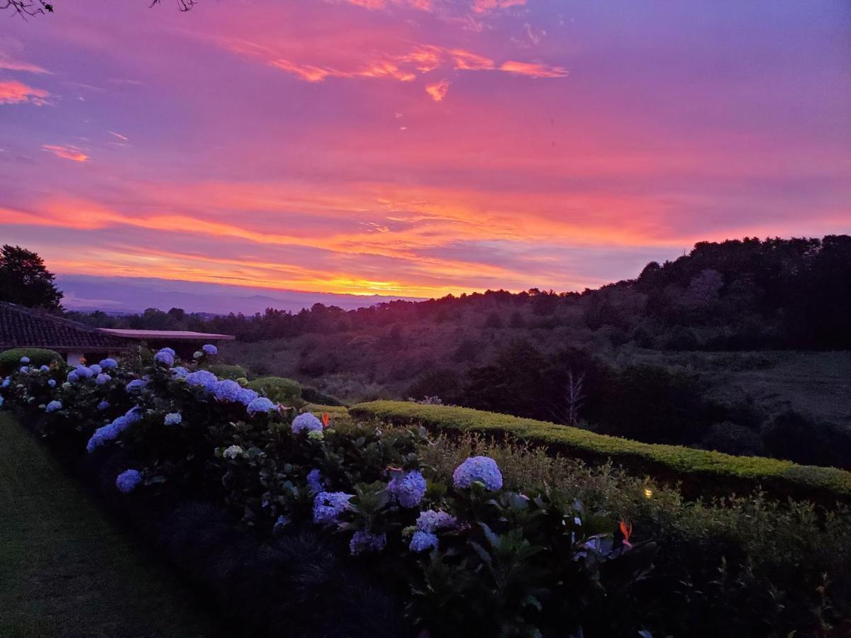 Finca Paraiso Mountain Retreat Near San Jose Airport Birrí 외부 사진