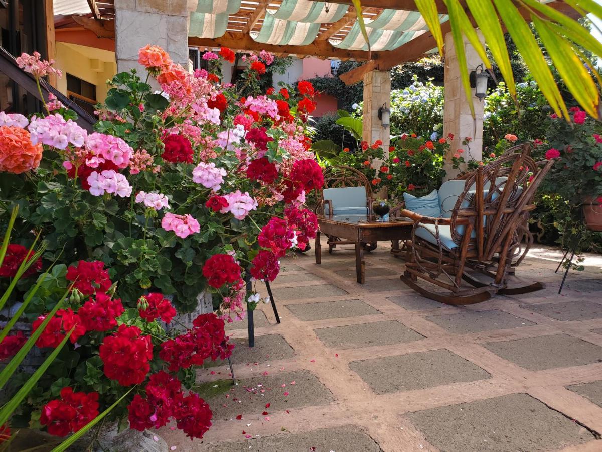 Finca Paraiso Mountain Retreat Near San Jose Airport Birrí 외부 사진