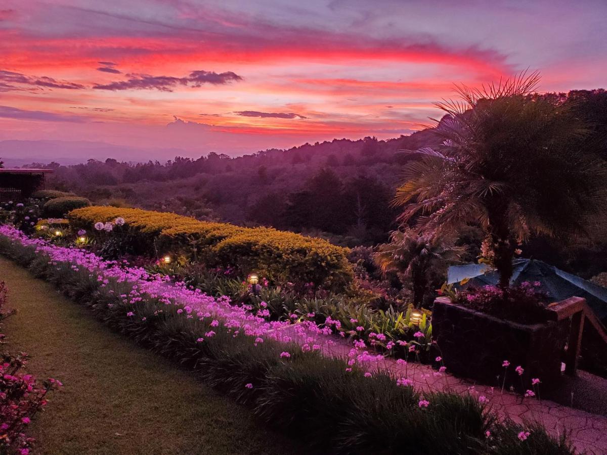 Finca Paraiso Mountain Retreat Near San Jose Airport Birrí 외부 사진