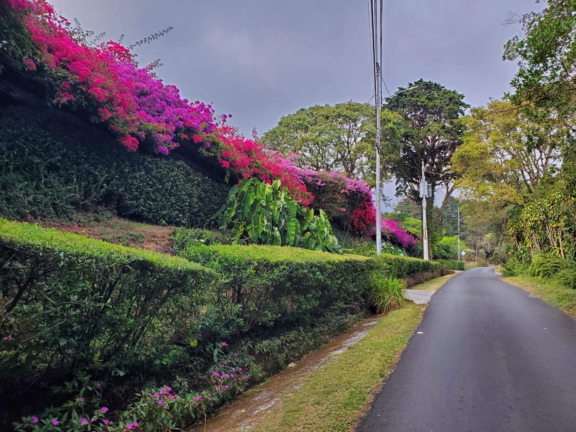 Finca Paraiso Mountain Retreat Near San Jose Airport Birrí 외부 사진