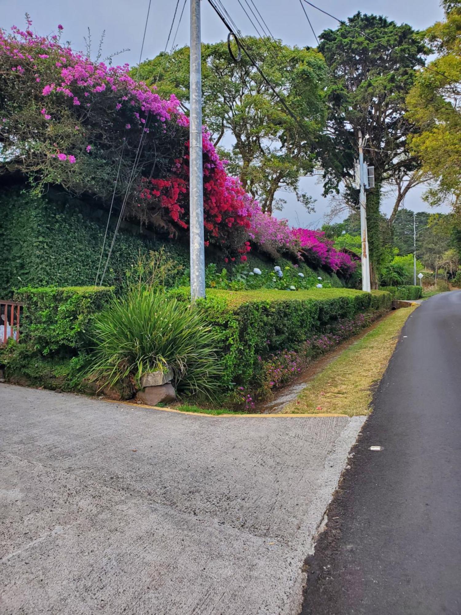 Finca Paraiso Mountain Retreat Near San Jose Airport Birrí 외부 사진