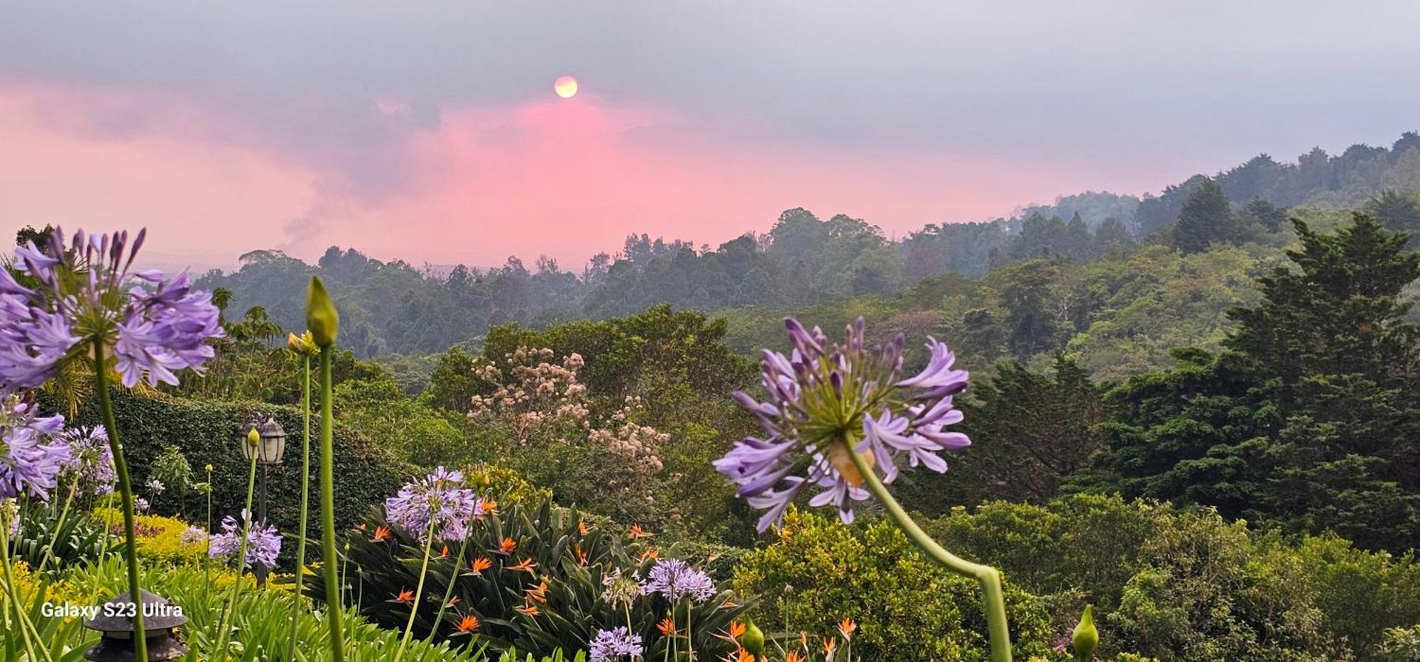 Finca Paraiso Mountain Retreat Near San Jose Airport Birrí 외부 사진