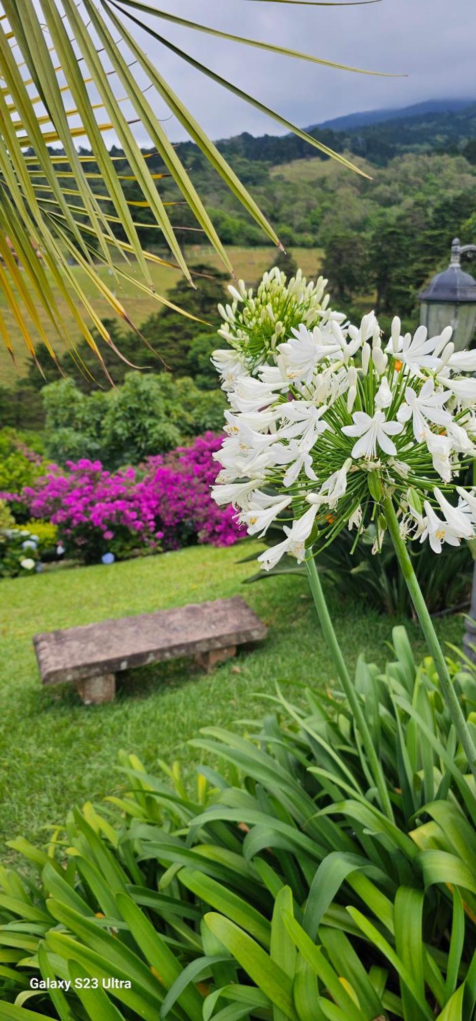 Finca Paraiso Mountain Retreat Near San Jose Airport Birrí 외부 사진