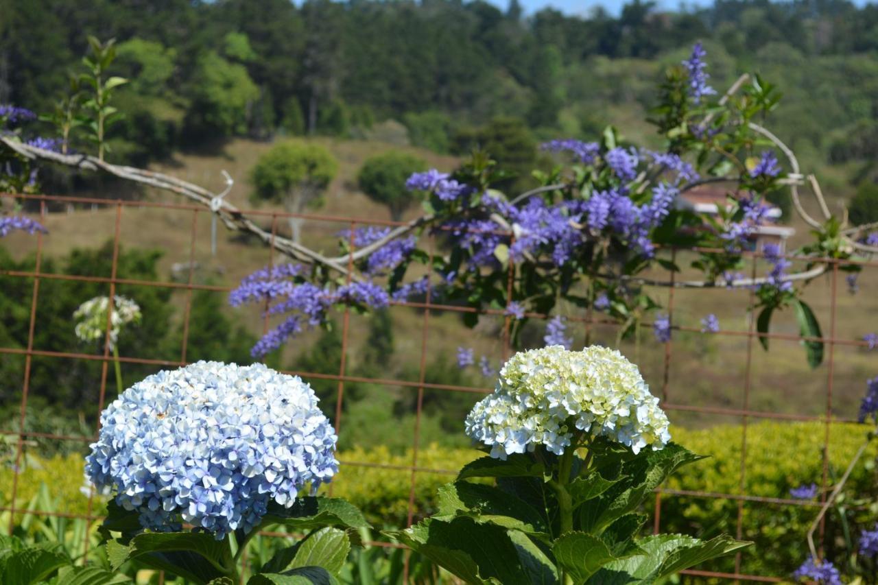 Finca Paraiso Mountain Retreat Near San Jose Airport Birrí 외부 사진