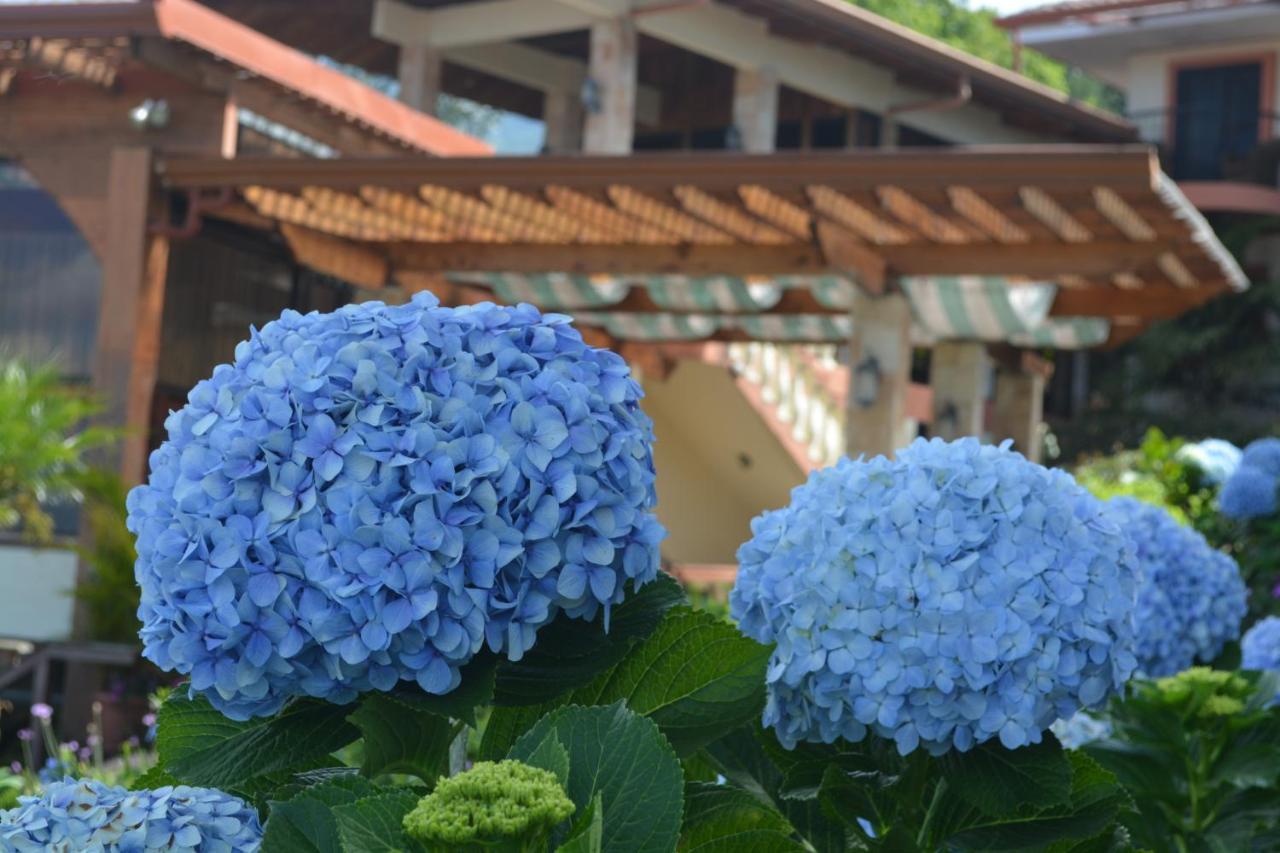 Finca Paraiso Mountain Retreat Near San Jose Airport Birrí 외부 사진