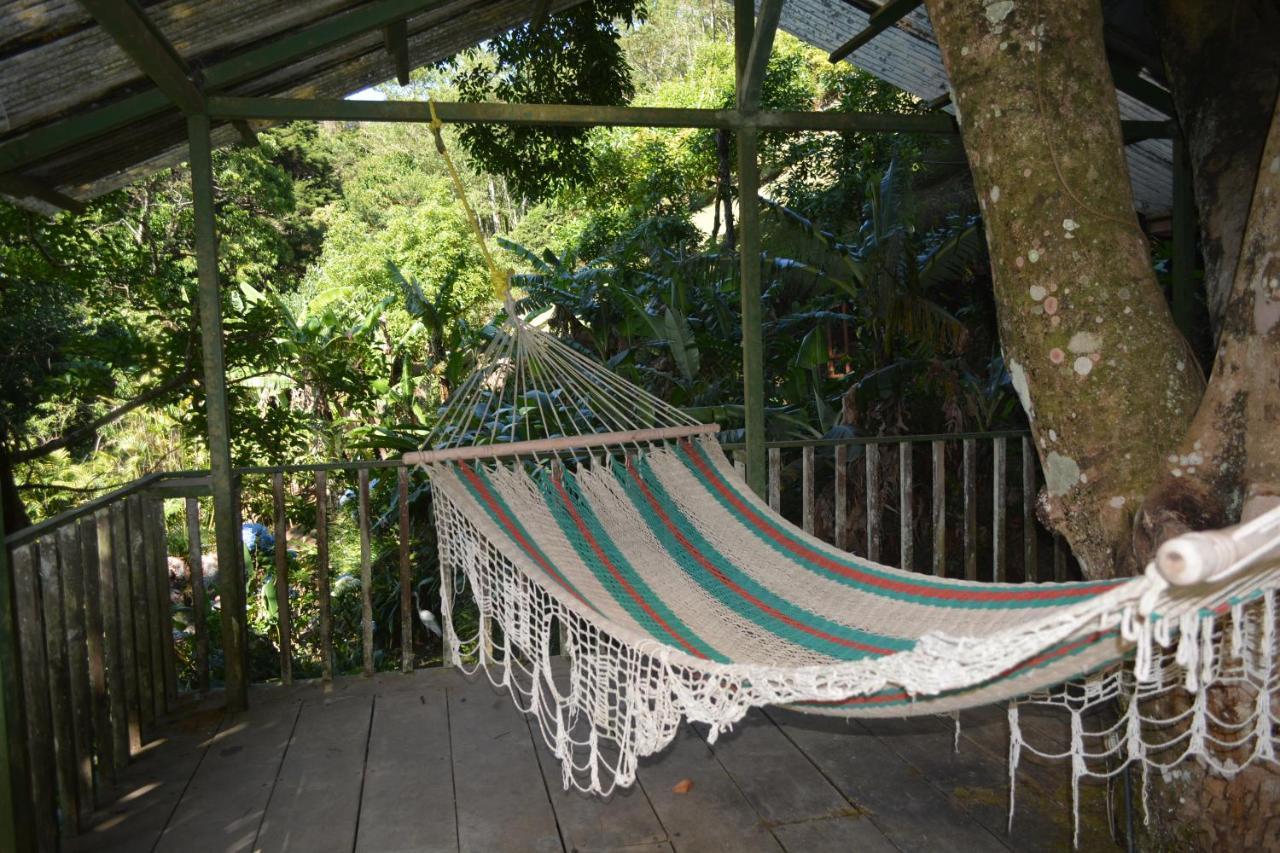 Finca Paraiso Mountain Retreat Near San Jose Airport Birrí 외부 사진